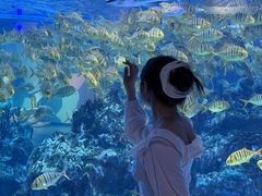 -海合安成都极地海洋公园