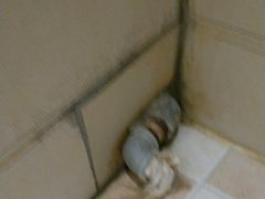 -郑州星座精品酒店(国贸360店)