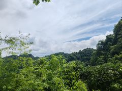 -娄山关景区