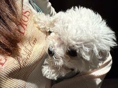 -瑞鹏宠物医院·普外科·影像科·皮肤科(城市山谷分院)