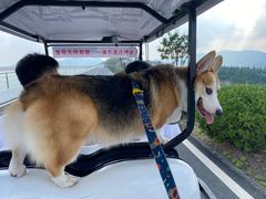 -江南天池
