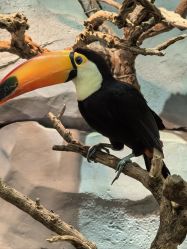 -Zoolung Zoolung动物主题公园(海信广场店)