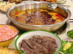 鲜毛肚-电台巷火锅(科华总店)
