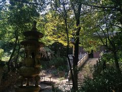 -雨花胜境