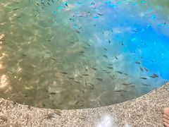 -宝丽金大酒店·洗浴中心