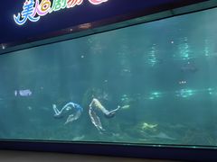 -福州罗源湾海洋世界旅游区