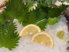 -枫千叶精致料理