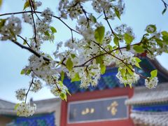 -沂蒙山旅游区龟蒙景区