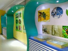 -上海昆虫博物馆