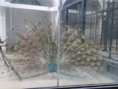 -荆州中山公园动物园