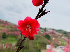 -华蓥山天意谷景区