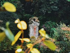 -杭州黄龙洞
