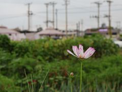 -东戴河风景区-止锚湾