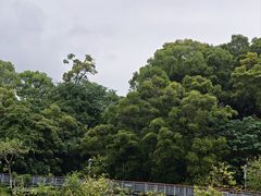 -金鸡山公园