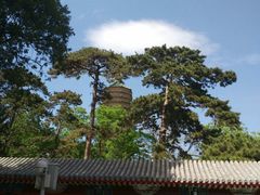 -中影国际影城(东方新天地CINITY店)