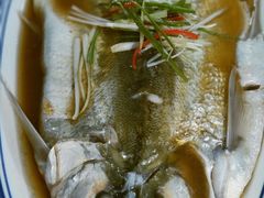 -巢湖名吃·徽府农家菜(半汤店)