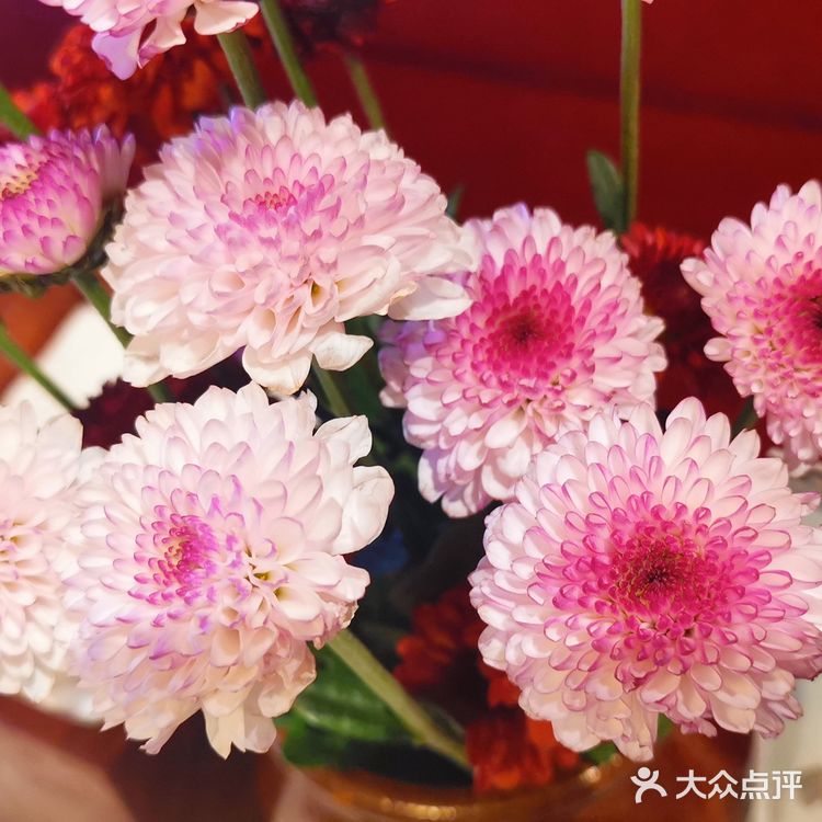 把这话吃透了你就进步了