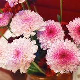 把这话吃透了你就进步了