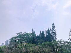 -四海公园(南山区)