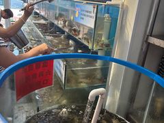 -仙螺岛海鲜自助餐厅(总店)