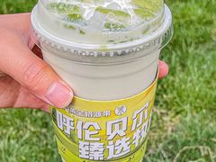 -茉酸奶(春熙路店)
