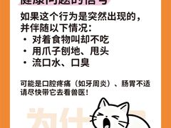 -睿金宠物医院·CT·肿瘤·骨外科