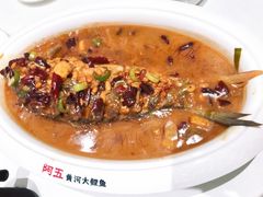 -阿五黄河大鲤鱼(海尚店)
