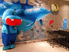 -盒马鲜生(莱蒙都会店)