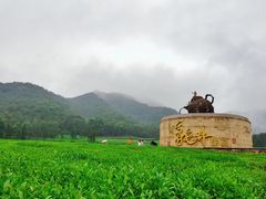 -听风阁农家私房菜茶楼(龙坞店)