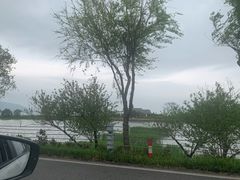 -东山雕花楼