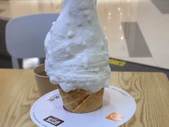 -野人先生Gelato(上海长宁龙之梦店)