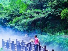 -北京西山国家森林公园