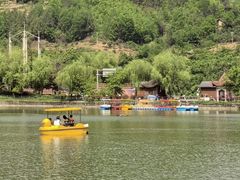 -后柳水乡
