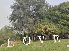 -北京张裕爱斐堡酒庄