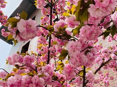 -西安建筑科技大学(草堂校区)