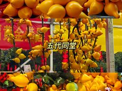 -天河体育中心