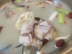 -颜氏双江清水鱼一养身火锅(磁器口店)