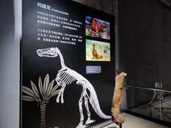 -中华赏石园