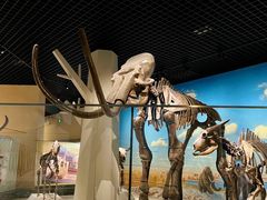 -国家自然博物馆