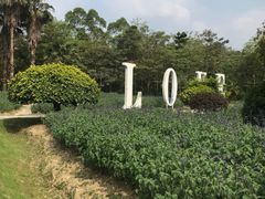 -广东花都香草世界旅游度假区