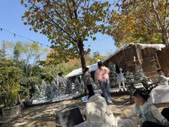 -HERRE·FARM 赫尔露营农场·团建聚会包场