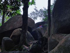 -火炉山森林公园