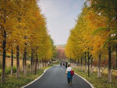 -南京市无想山景区