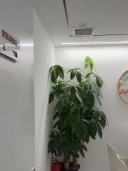 -SOS修丽可.痘肌修复中心