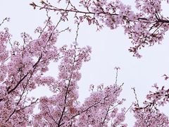 -龙美术馆(西岸馆)