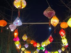 -南宫五洲植物乐园