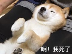 -Tanco探咖推理社·剧本杀狼人杀桌游(俊华大厦店)