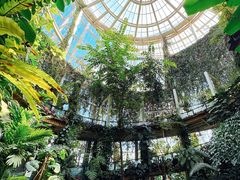 -昆明植物园