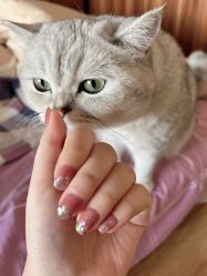 点击看大图 -晨·艺美甲美睫