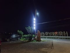 -李东农庄(中南百草园地标店)